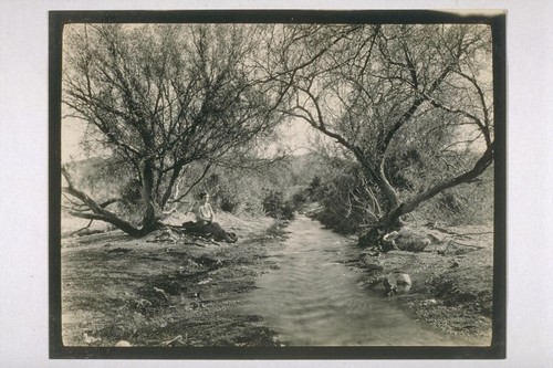 Furnace Creek--used to irrigate Furnace Creek Ranch; Furnace Creek