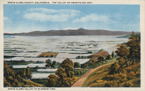 Postcard of Santa Clara Valley at blossom time