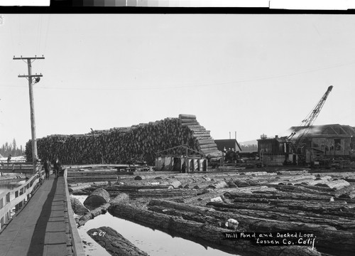 Mill Pond and Decked Logs, Lassen Co, Calif
