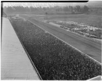 Crowd at Derby Day at the Santa Anita racetrack, February 22, 1937