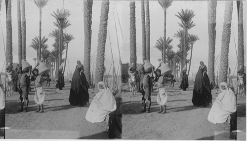 Egyptian Natives and water carriers. (among the Palms) Egypt