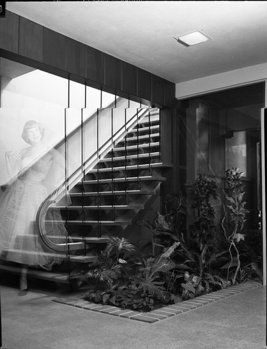 San Jose State College Kappa Alpha Theta Member on Staircase of Sorority House