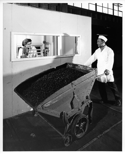 Male Worker Shown with Large Wheelbarrow filled with Dried Fruit