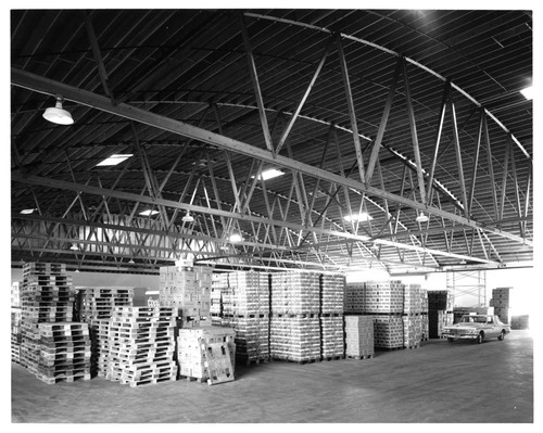 Paletted Beer Cases Ready to Ship at Falstaff Brewing Corp. Warehouse