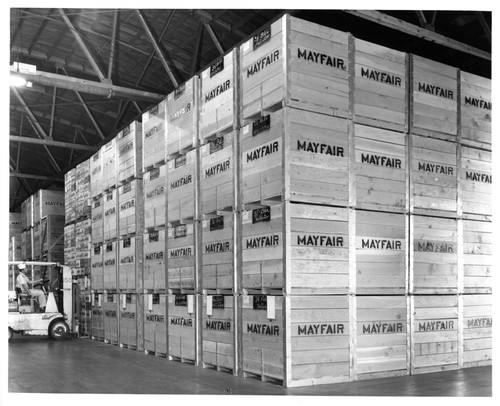 Wooden Shipping Crates in the Warehouse of the San Jose Mayfair Packing Co