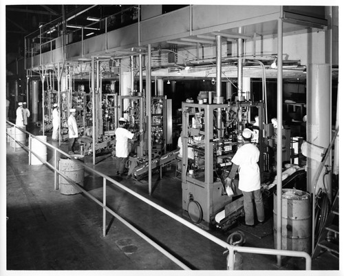 Male Workers Operating Machinery Inside the San Jose Mayfair Packing Co