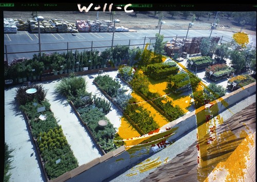 View of the San Jose, West Side K-Mart Gardening Department