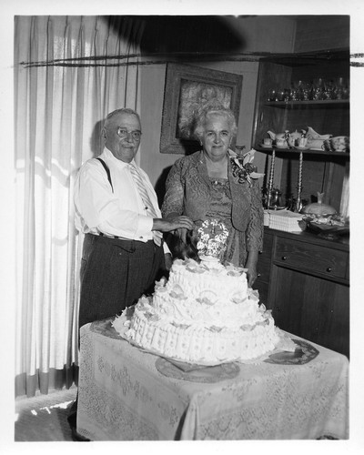 Mr. and Mrs. Devincenzi Posing With Their Tiered Anniversary Cake