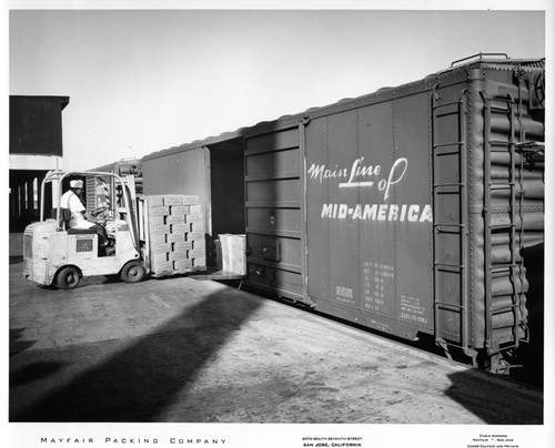 Pallets of Boxed Fruit Being Loaded Into a Large Shipping Container