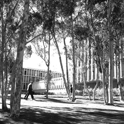 Humanities and Social Sciences Building at Revelle College on the campus of UCSD. December 16, 1970