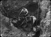 Pit 77. Excavators uncovering giant sloth bones. (RLB-331)
