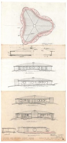 Albert Janko house, roof plan, sections, elevations, sheet 1-B