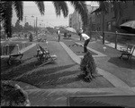 [Miniature golf course at 6th & Westmoreland] (2 views)