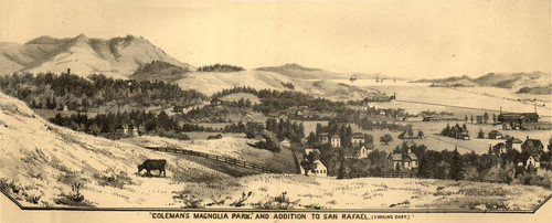 Magnolia Park, San Rafael, California, 1884 [illustration]