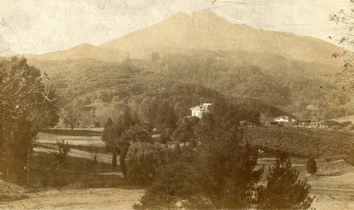 View of the Kent property and the Kent Family home, circa 1880 [photograph]