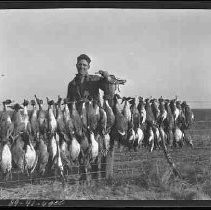 A hunter with dead ducks hanging on a fence