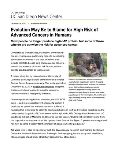 Evolution May Be to Blame for High Risk of Advanced Cancers in Humans