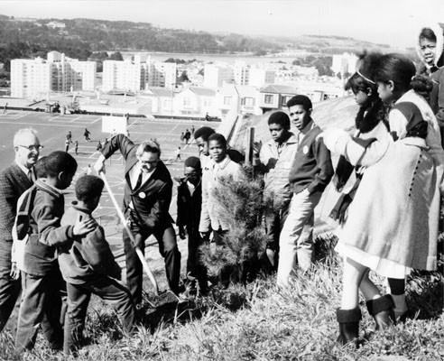 [Students from Jose Ortega School planting a tree on a nearby hillside]