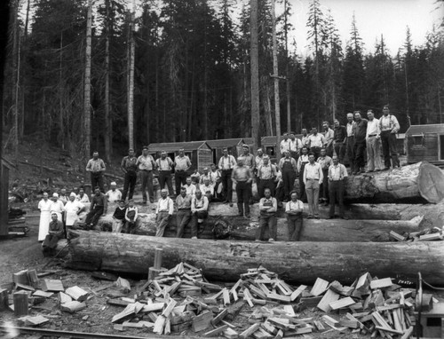 Logs and Lumber Camps
