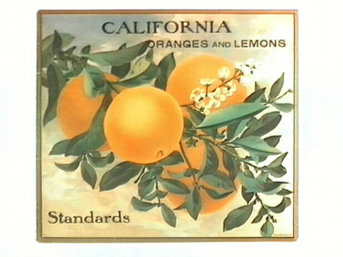 California Oranges and Lemons
