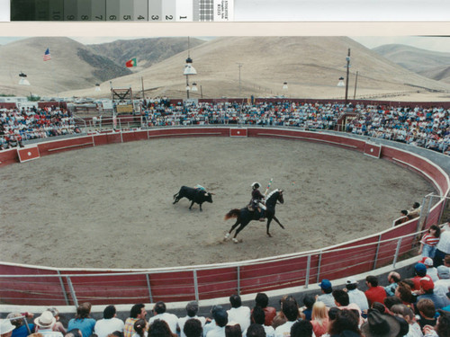 A horseman (cavaleiro) circles a charging bull in an arena near Crows Landing, California, April 30, 1989
