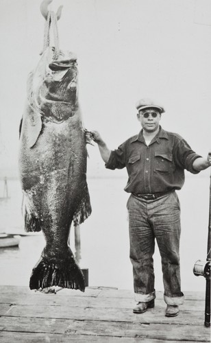 Nick Bermúdez , son of Catherine Bermúdez , with his giant sea bass catch