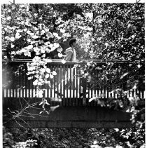 View of a CSU, Chico student on the footbridge over the Big Chico Creek on campus