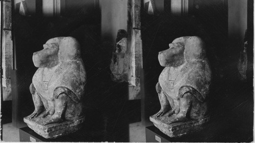 Image of a Dog, Gizeh Museum, Cairo