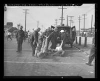 Police drag MGM protesters to police wagon, 1946