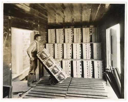 Worker loading boxes of Sunkist and Shamrock oranges into train car