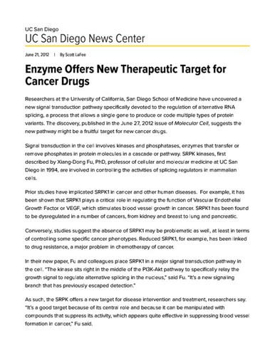 Enzyme Offers New Therapeutic Target for Cancer Drugs