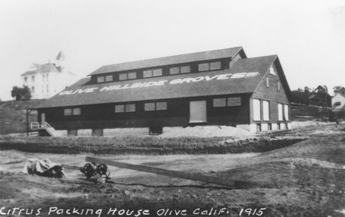 Olive Hillside Groves Packing House, Olive, California, 1915