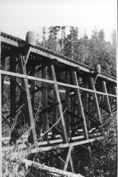 Brown's Canyon Trestle looking south, Occidental, California, 1934