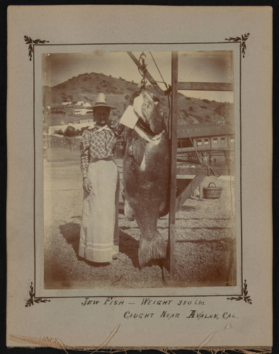Edith Rozelle standing next to trophy Giant Sea Bass