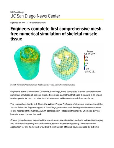 Engineers complete first comprehensive mesh-free numerical simulation of skeletal muscle tissue