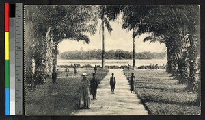 People standing on a walk between palm trees, Congo, ca.1920-1940