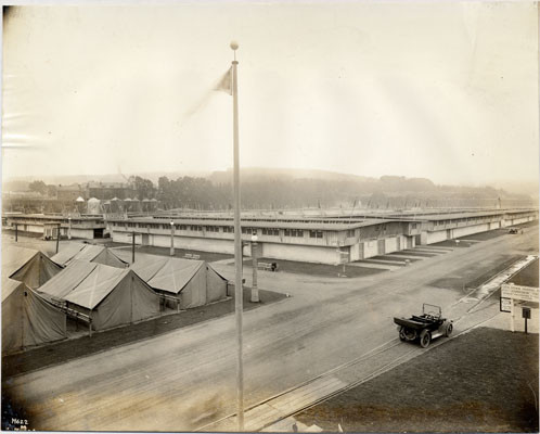 [Livestock stables at the Panama-Pacific International Exposition]