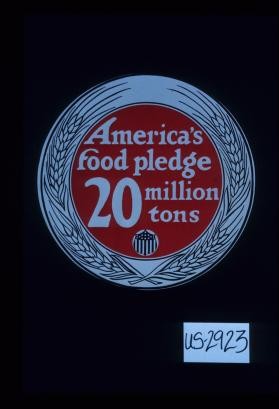 America's food pledge - 20 million tons