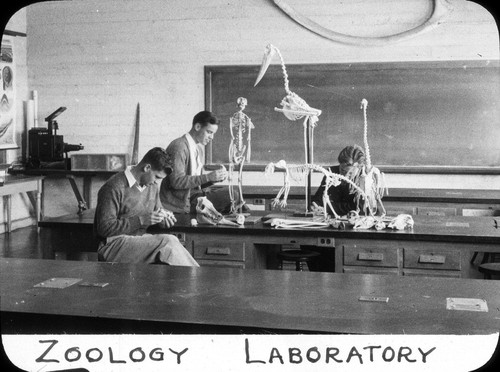 Zoology laboratory / Lee Passmore