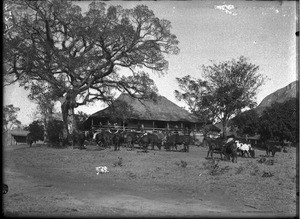 Mission house, Shilouvane, South Africa, ca. 1901-1907