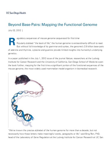 Beyond Base-Pairs: Mapping the Functional Genome