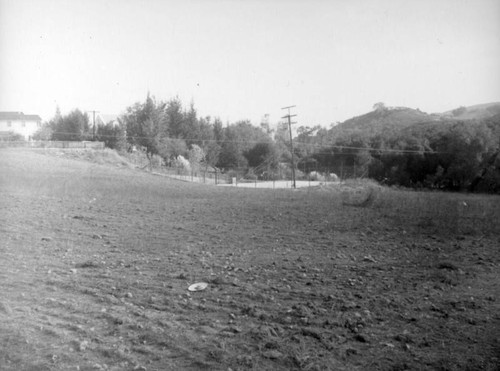 Southern California field