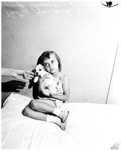 Cruelty to puppy, 1958