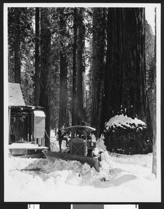 Worker refueling a "Caterpiller" Sixty snow plow in Sequoia National Park, 1931