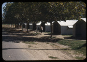 Linnell Camp Cabins, 009