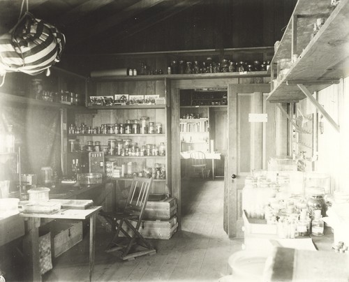 One the laboratories in the "Little Green Laboratory" at La Jolla Cover, which housed the Marine Biological Association of San Diego. Over-all, the building contained three laboratories,a library, a reagent room, and an aquarium-museum for the public. 1905