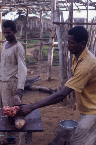 Man butchering a pig, San Basilio de Palenque, 1976