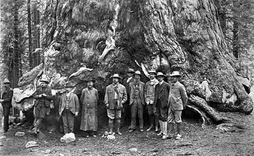 Teddy Roosevelt and party at Mariposa Grove