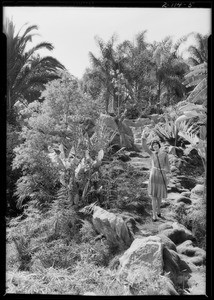 California Botanical Gardens publicity, Southern California, 1928