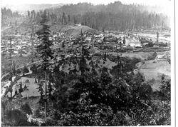 Looking eastward over Guerneville, California, June, 1882